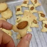 乐哈宝宝