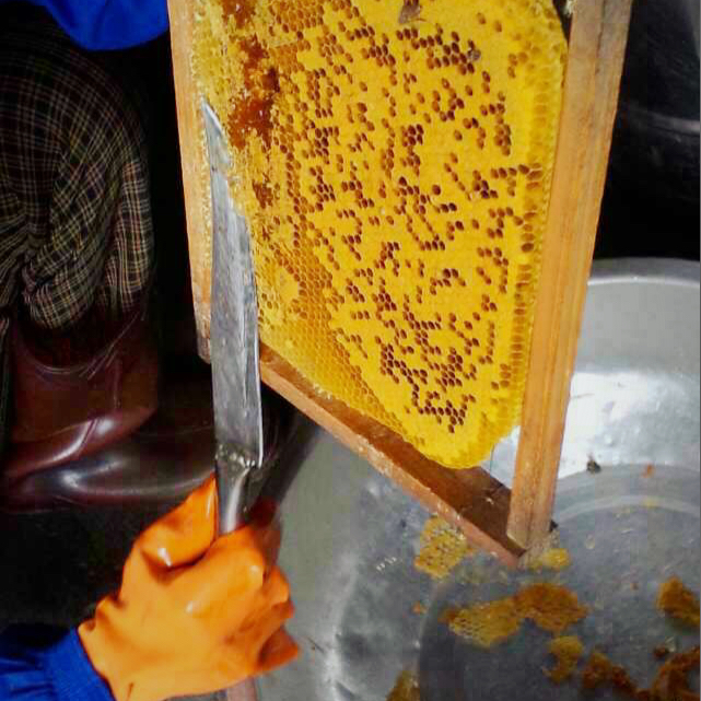 蜂蜜柠檬片