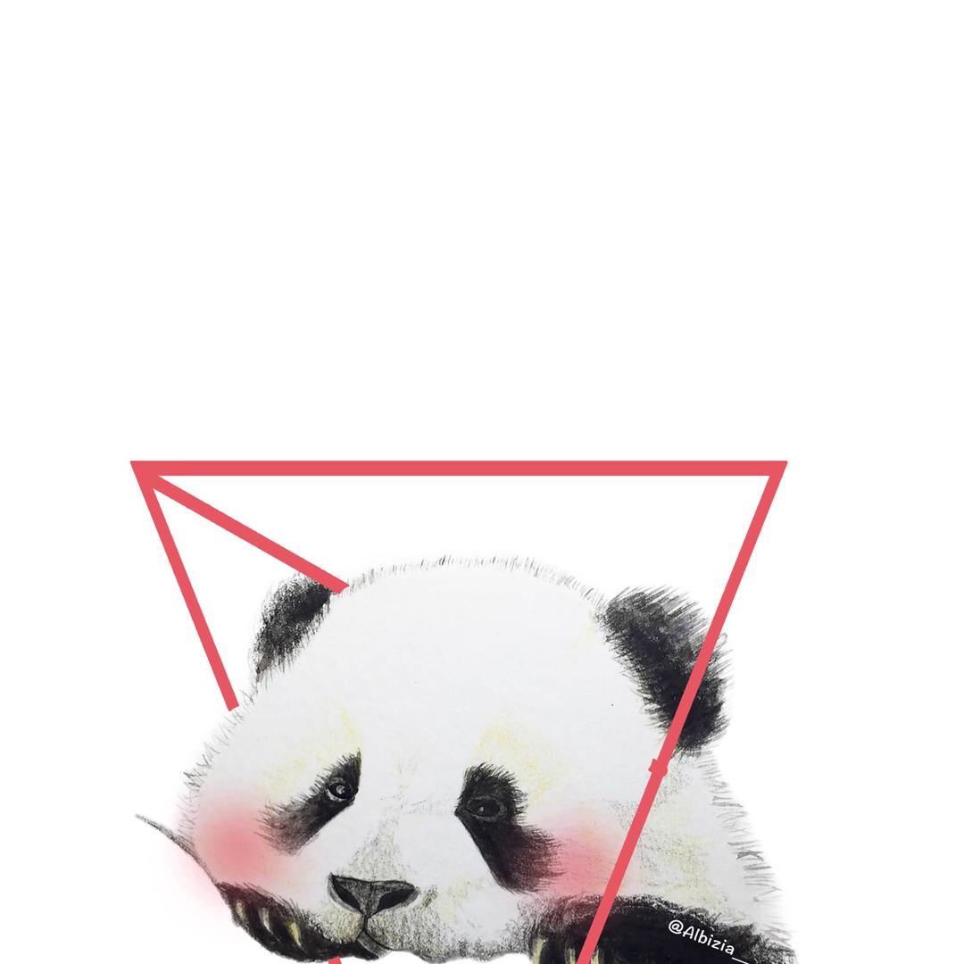 小鱼小狼