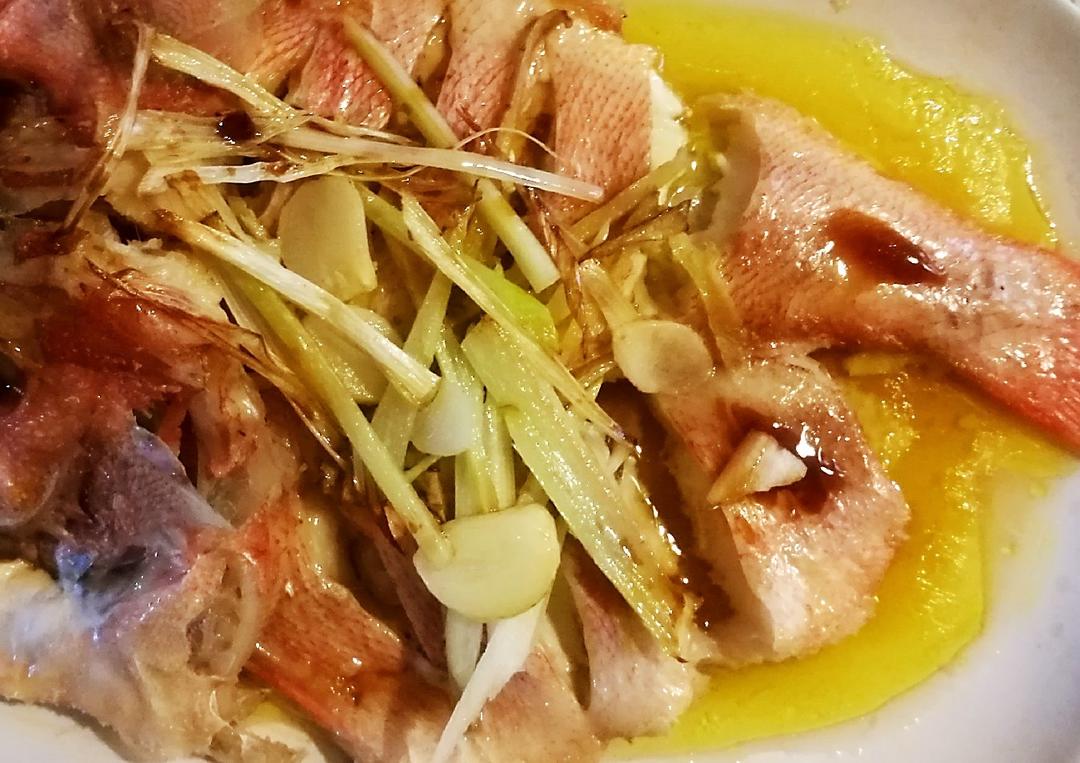 红瓜子斑鱼（深海鱼）