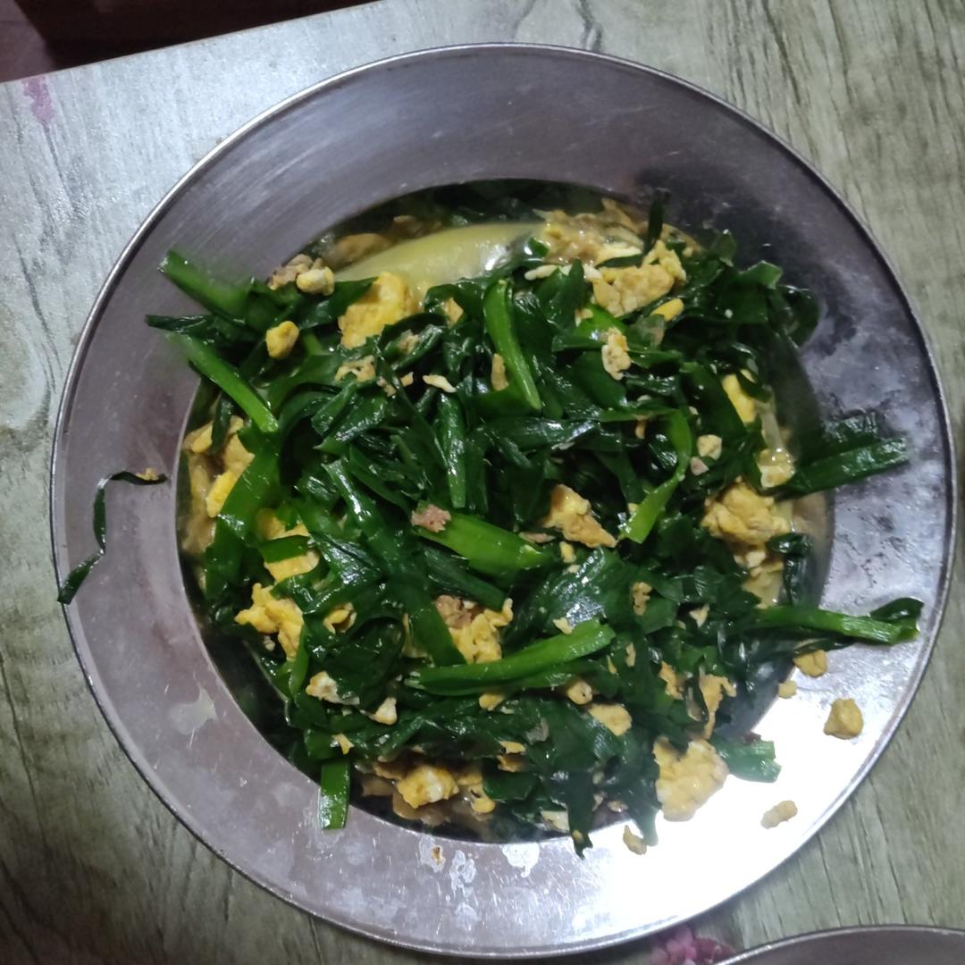韭菜炒鸡蛋——三分钟快手下饭菜 掌握火候的秘诀