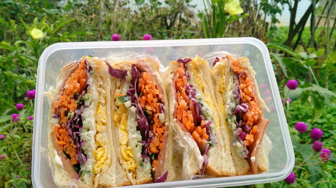 火腿芝士蛋三文治