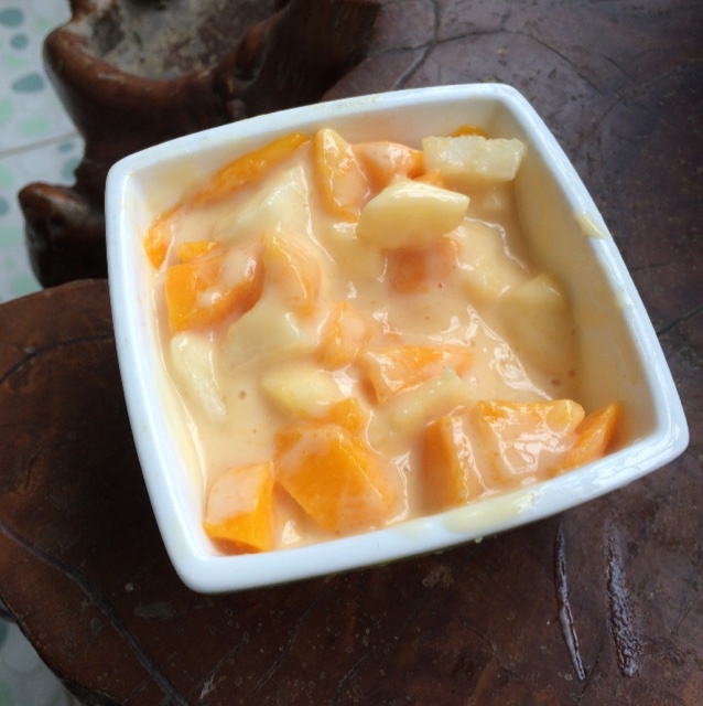 易极优自制酸奶