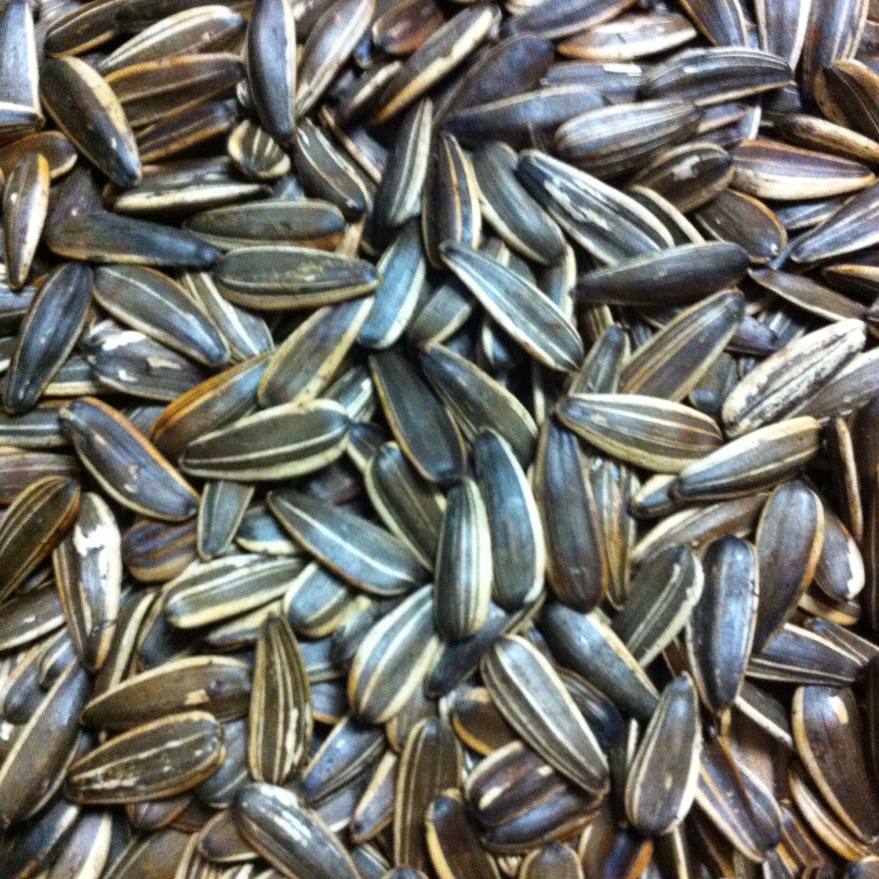 幸运草01ie做的自制五香炒瓜子