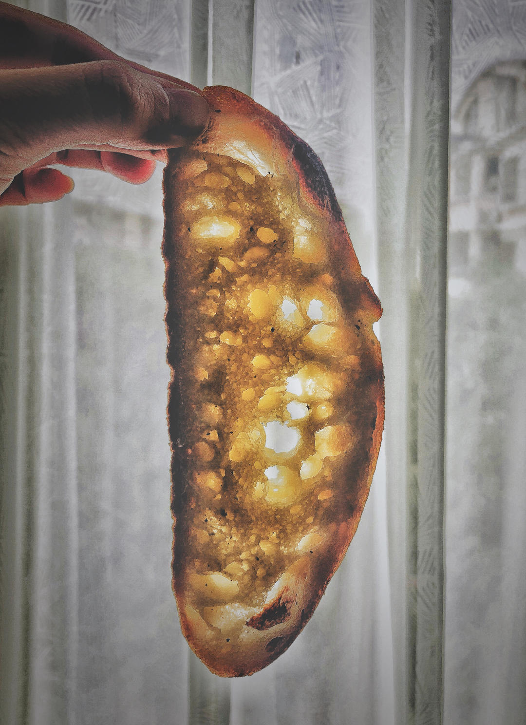 基础欧包练习-室温折叠隔夜冷藏（波兰种）