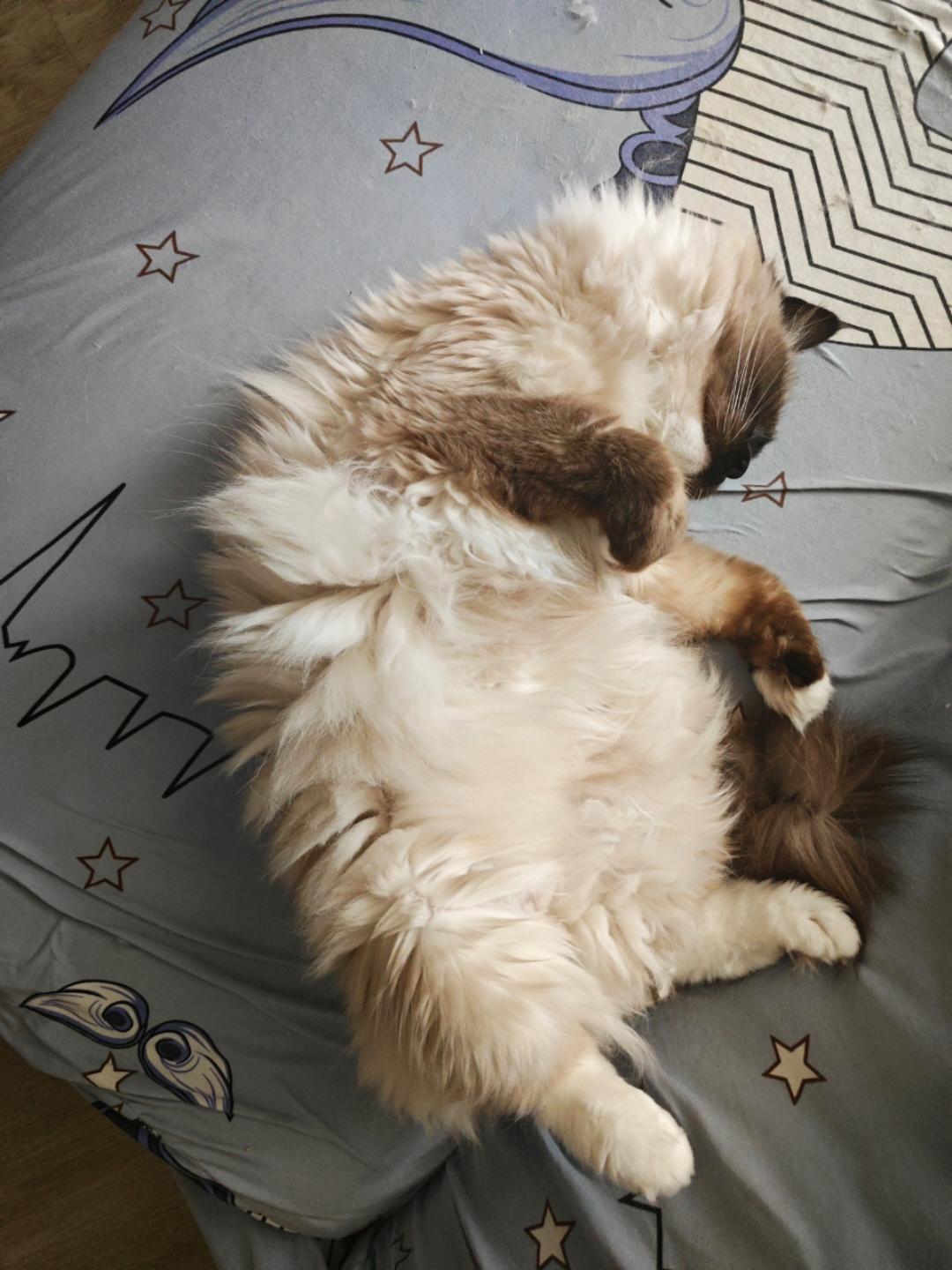 果冻自用菜谱的厨房