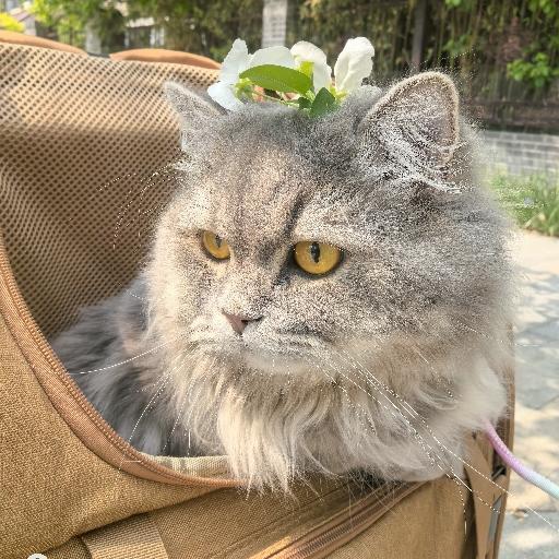 sunny纯净世界