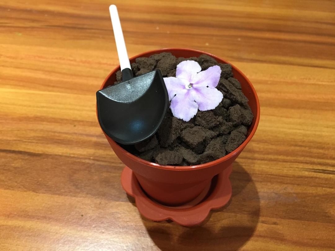 小盆栽提拉米苏的做法