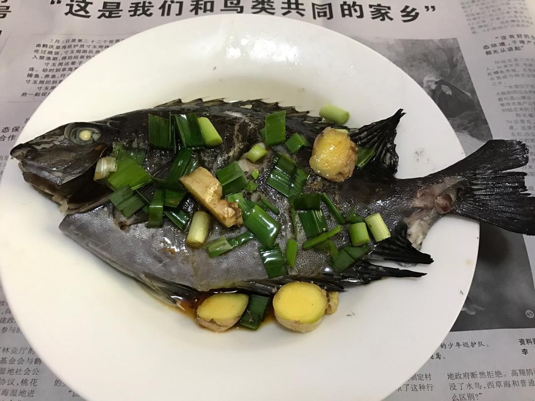 清蒸多宝鱼