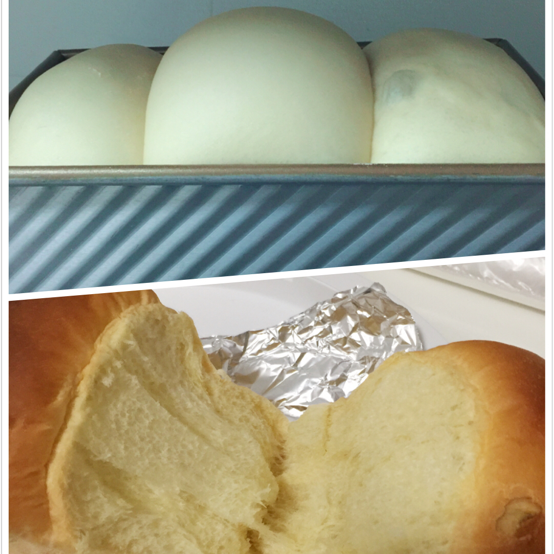 夺命软吐司(๑´ڡ`๑)超软拉丝极速方便的一次发酵吐司