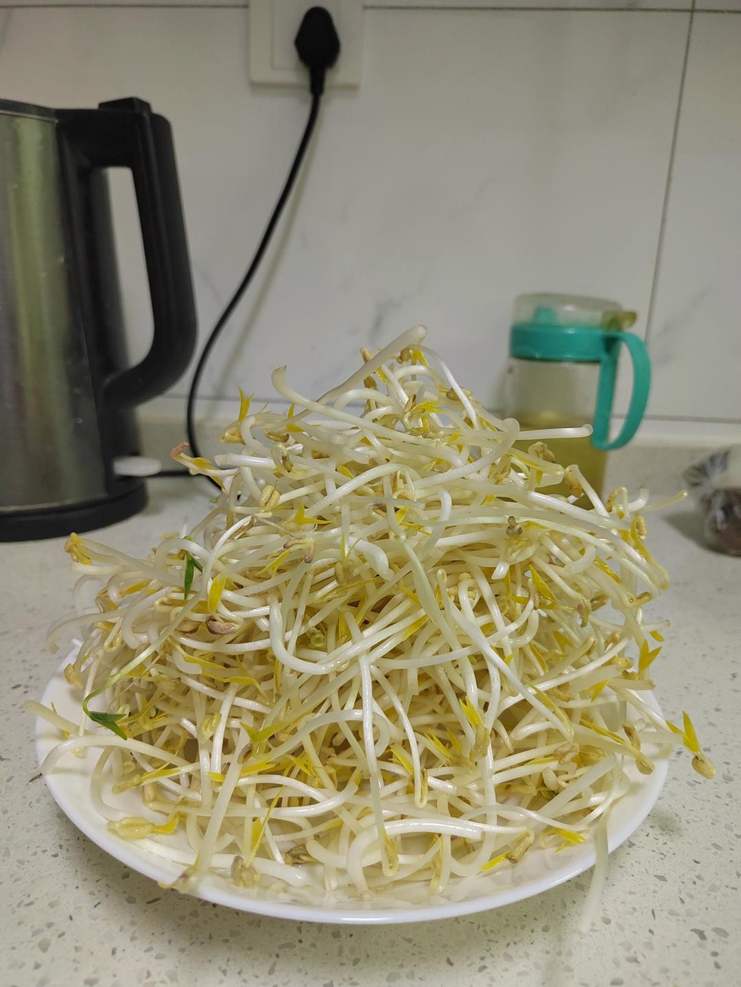 教你一招，学会了就可以做到绿豆芽自由