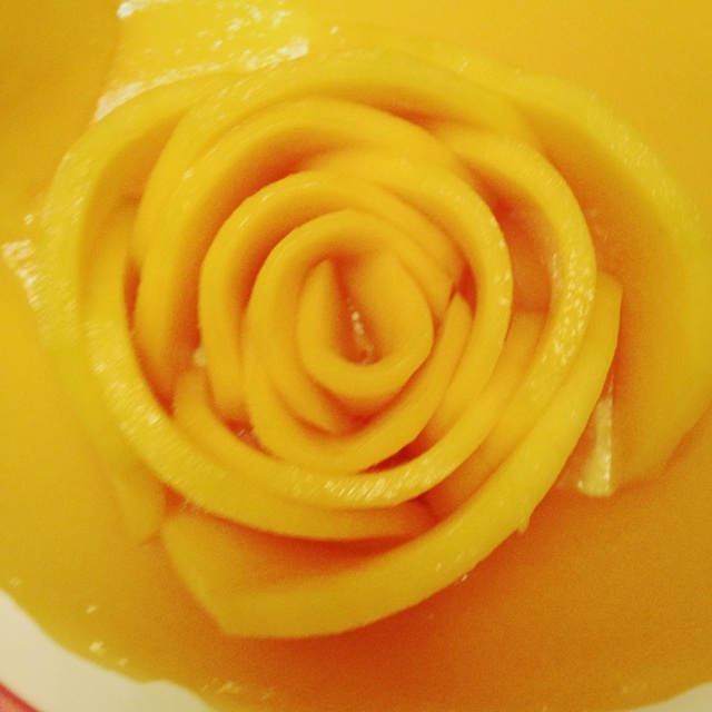 芒果玫瑰花