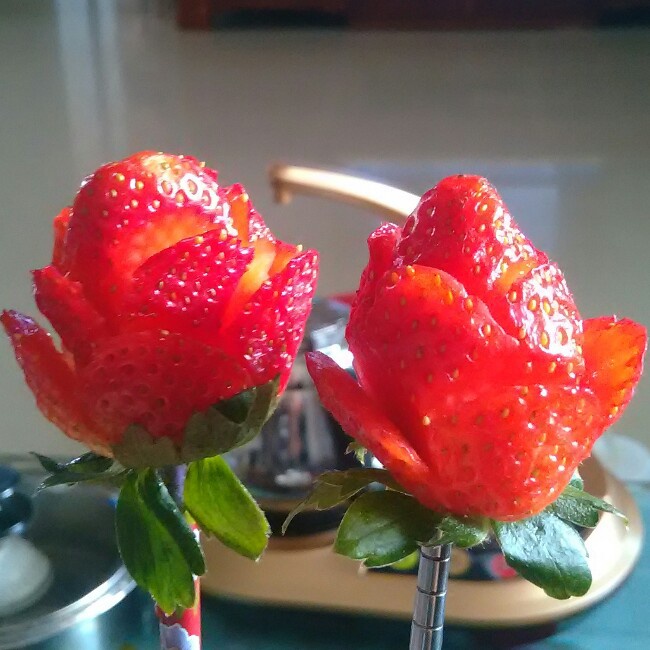 草莓玫瑰花