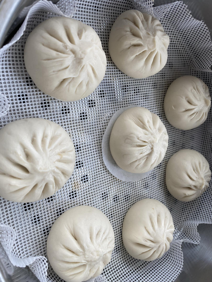 猪肉包子（附视频。一次性发酵。）