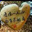郭靖YHK
