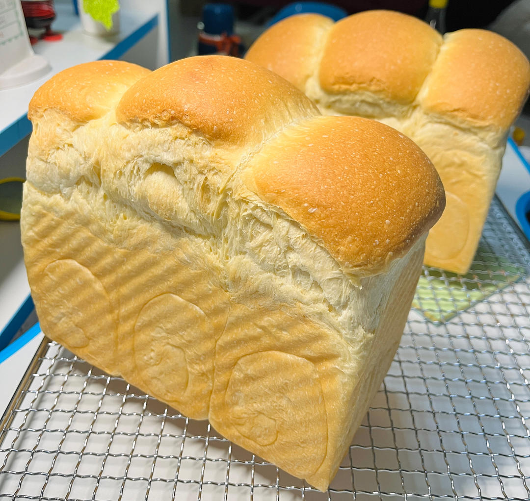 万能中种包（面包）