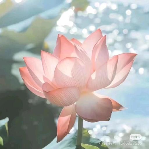 赵姐的饮食日记