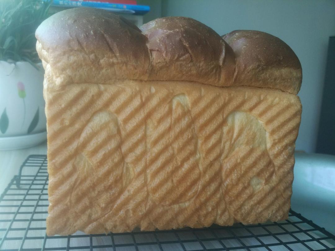 二奶吐司～酸奶奶酪包