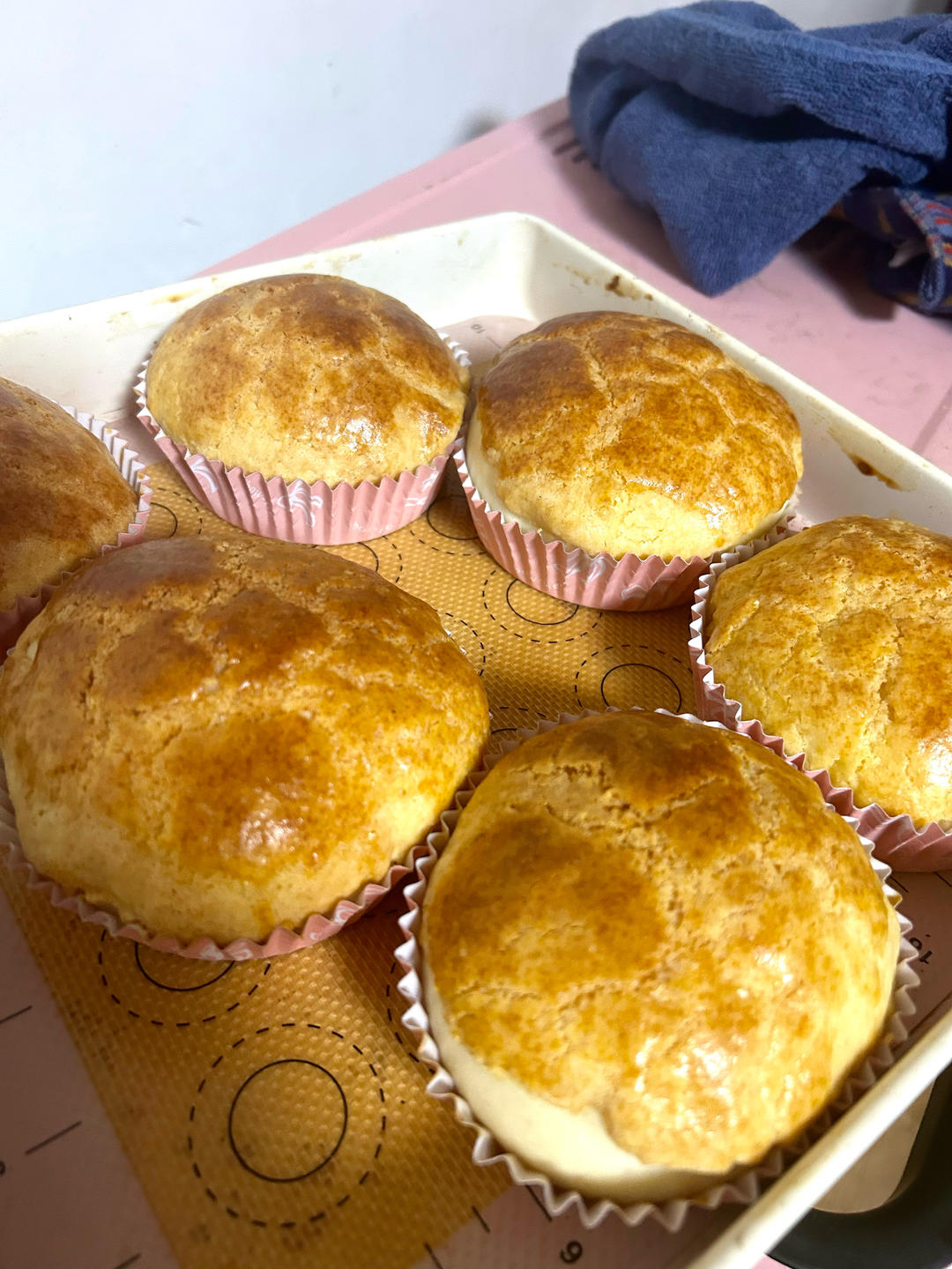 万能的、超级方便的百分百中种冷藏发酵法面包、菠萝包