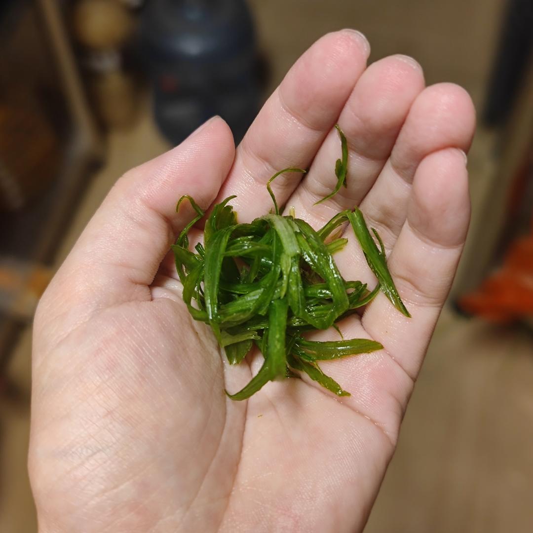 巧切葱丝