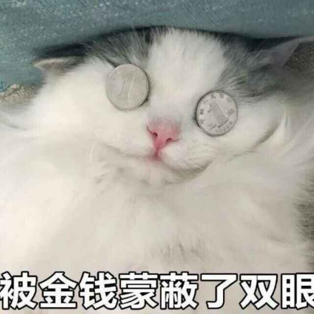 朱秀纤的厨房