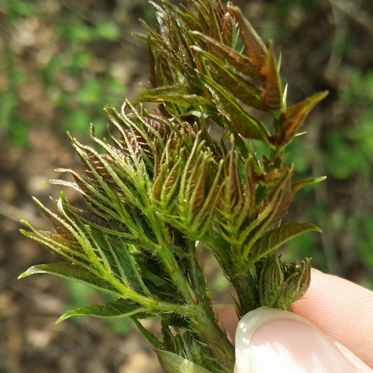 我的小家～我的爱～