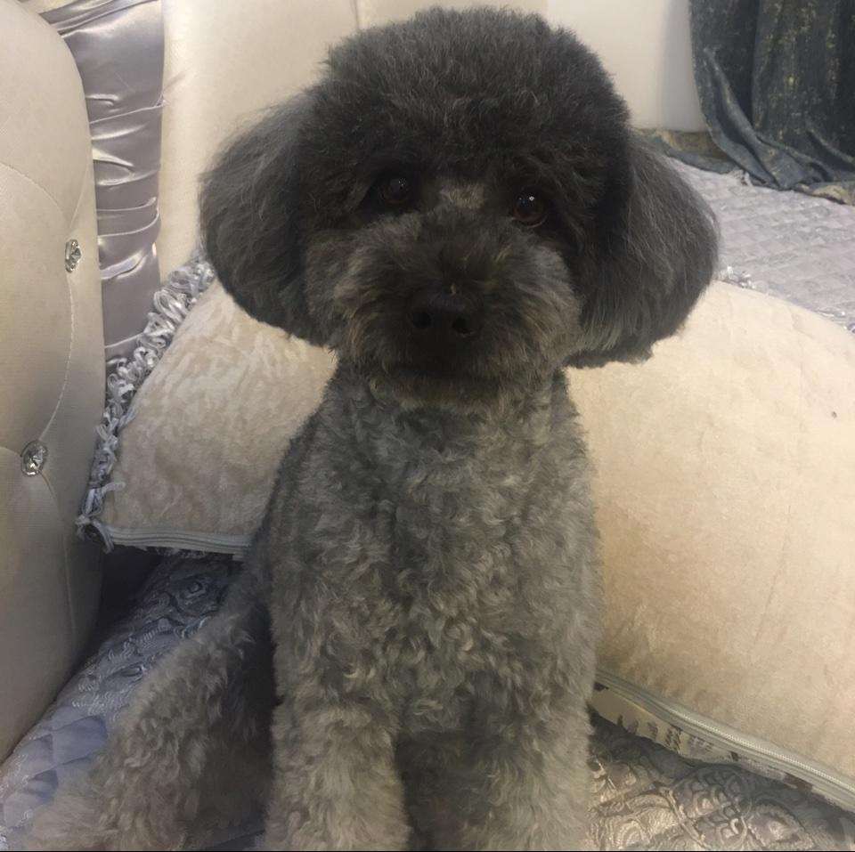 齐小沐