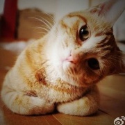 nqbaobao
