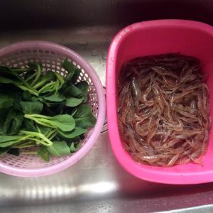 青菜虾肉小馄饨（宝宝辅食）的做法 步骤1