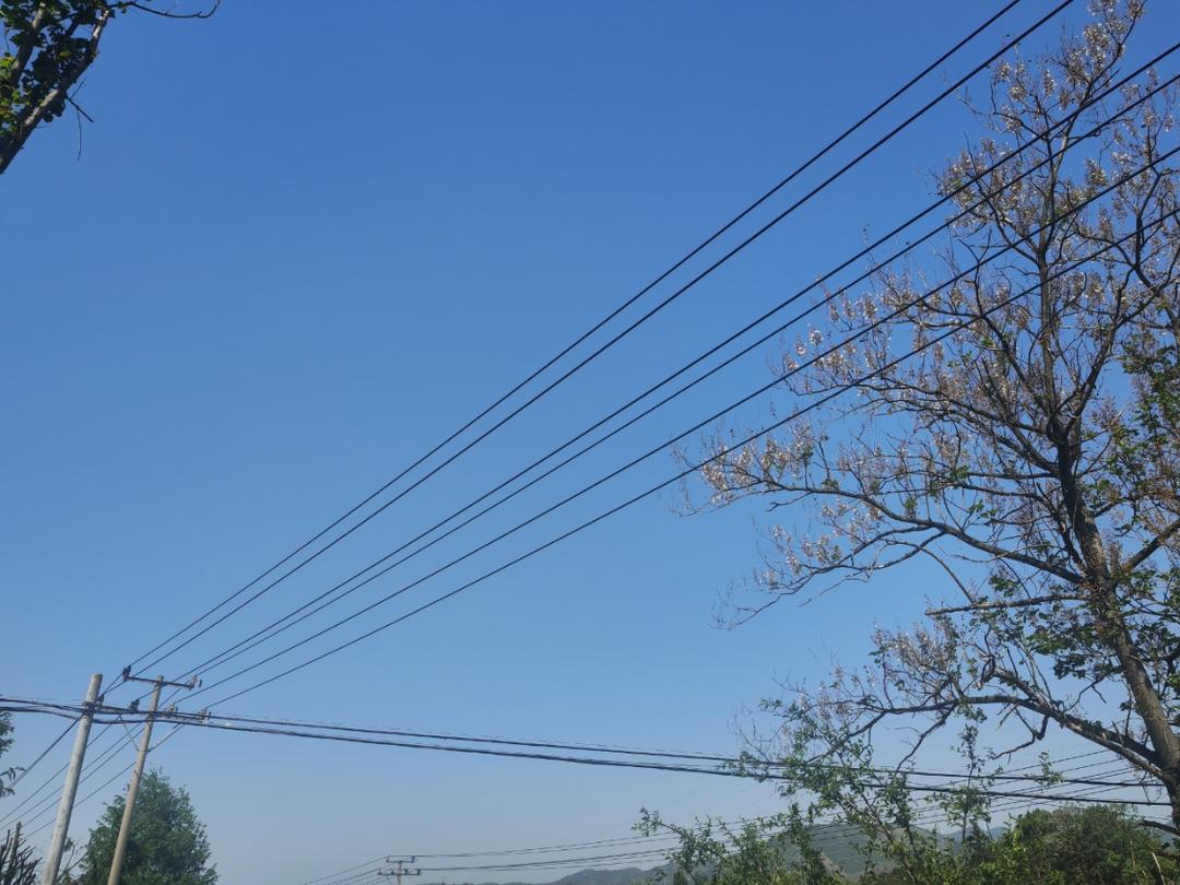 多吃甜点心情好