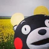 一颗机智的小话梅