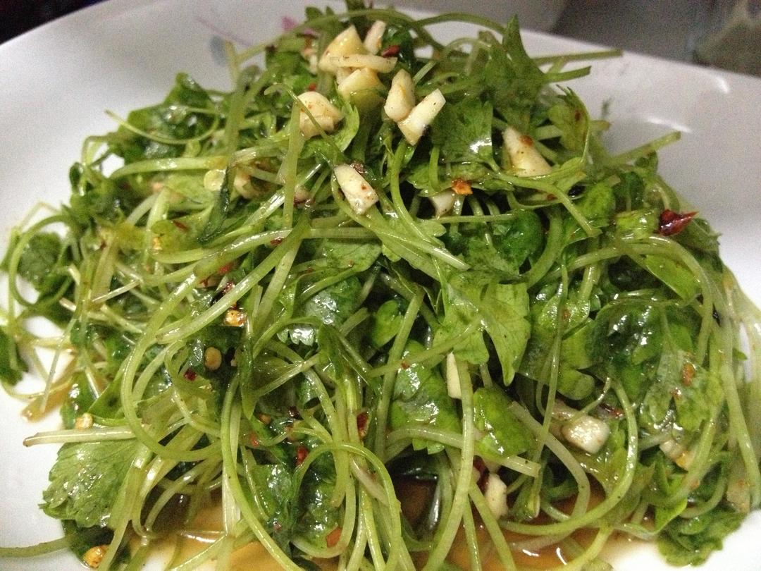 宿舍版-凉菜：芹菜尖的做法