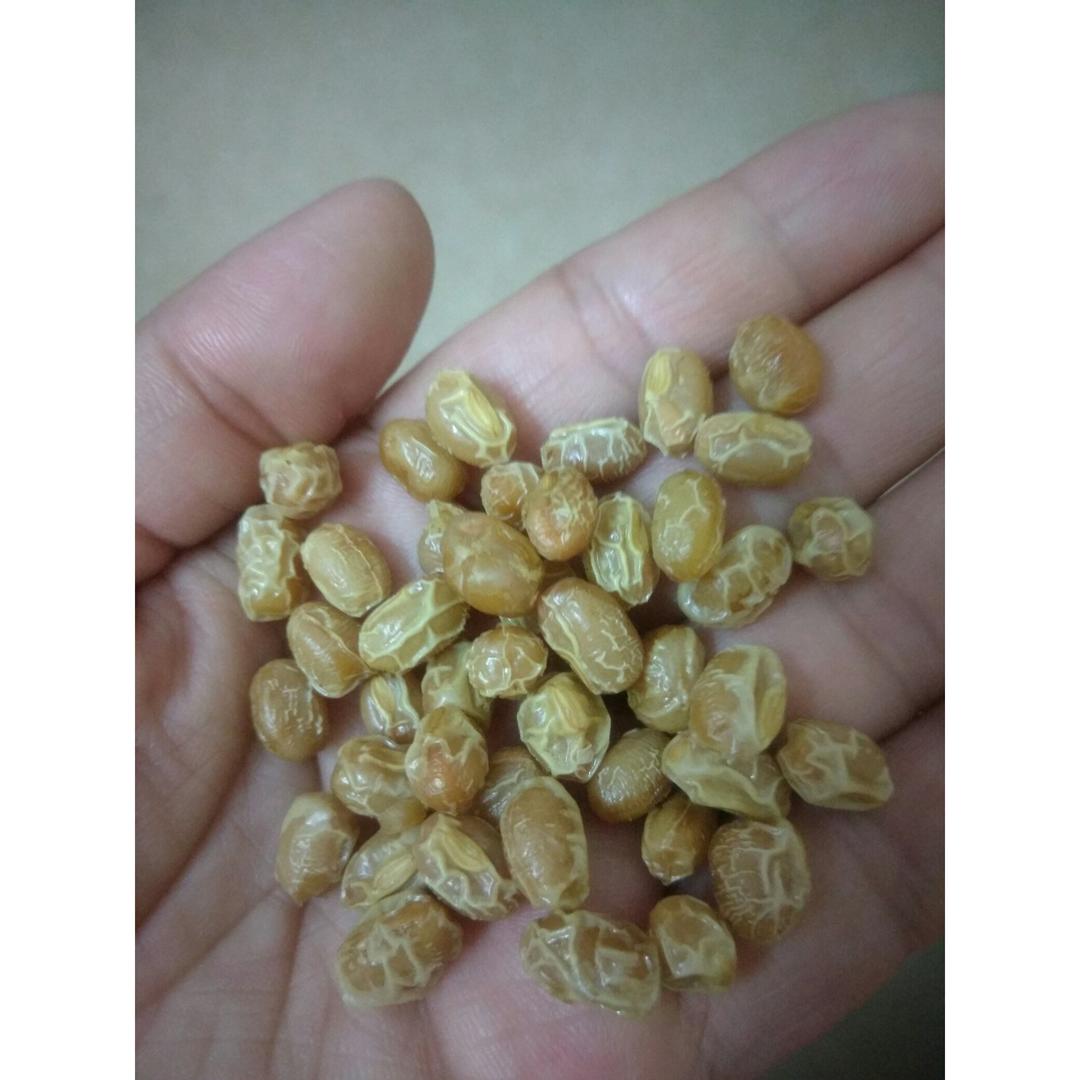 蚝油豆
