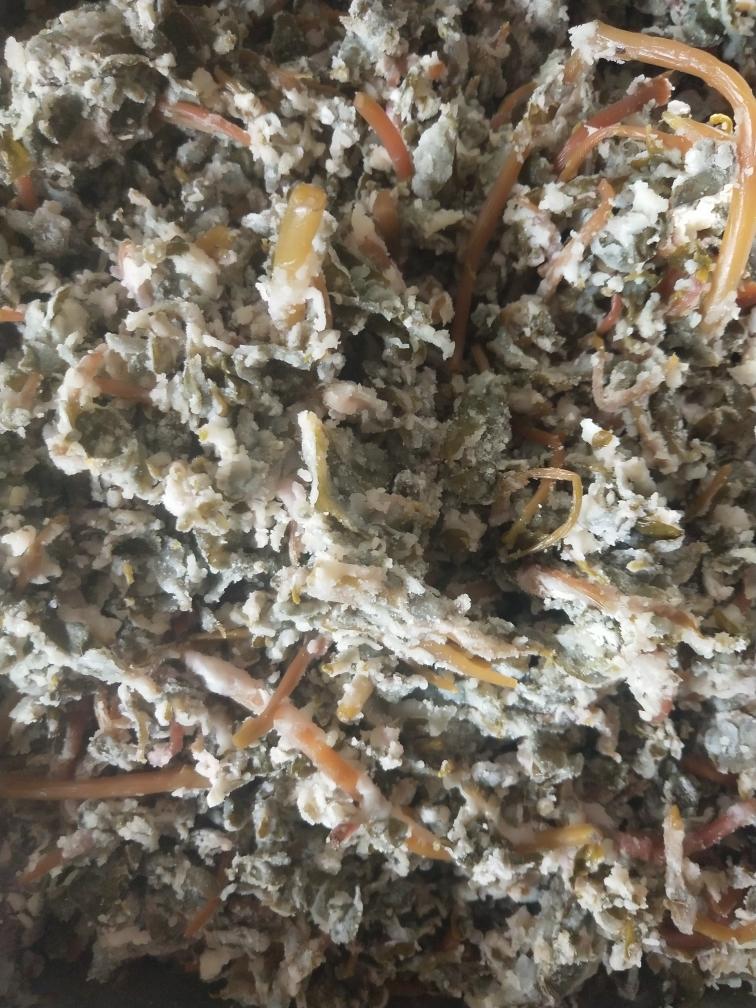 蒸马齿苋的做法