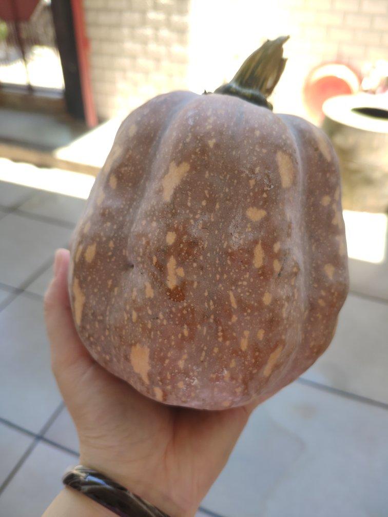 非常简单的健康养胃杂粮馒头(紫薯 南瓜 黑米)