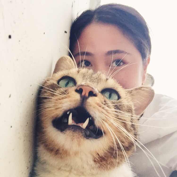整理铅笔盒
