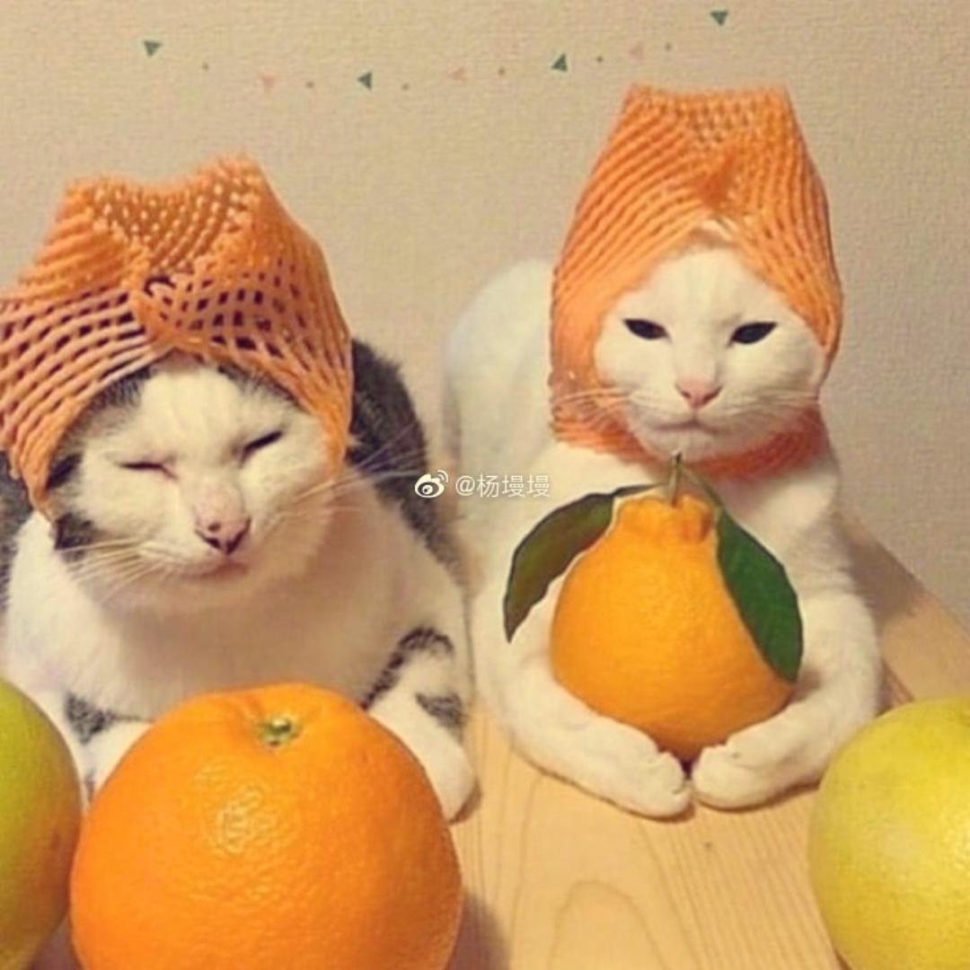 佛系美食爱好者