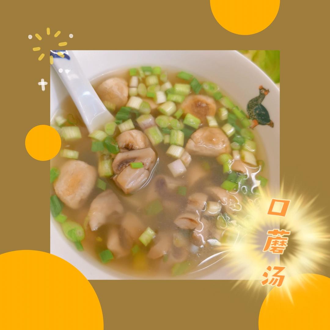 明明是素汤 却鲜得像鸡汤一样的「口蘑汤」