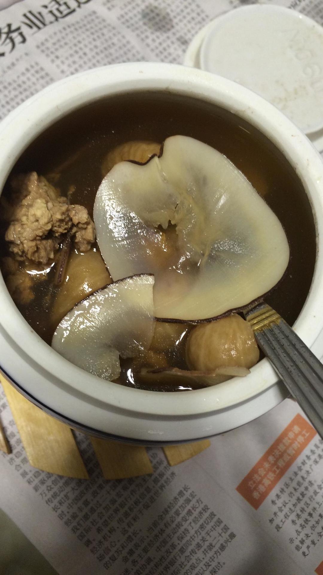 海底椰炖瘦肉