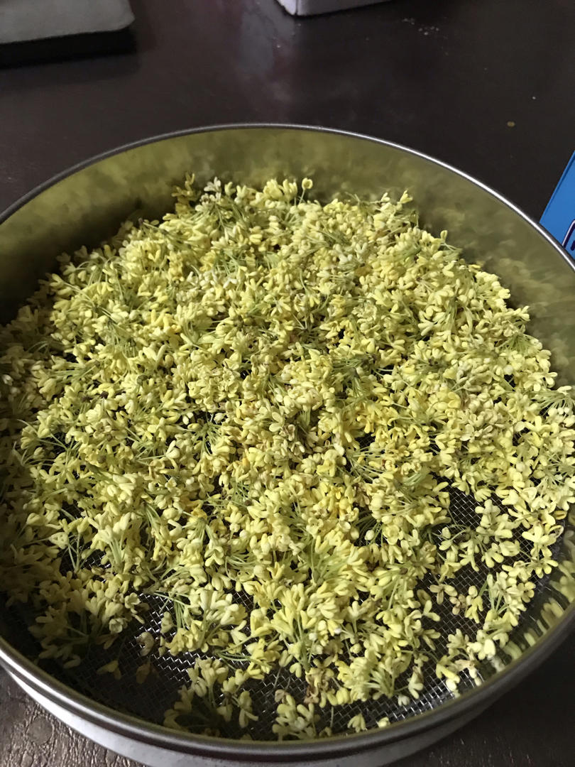 留住秋天只需要做一罐桂花蜜🍸