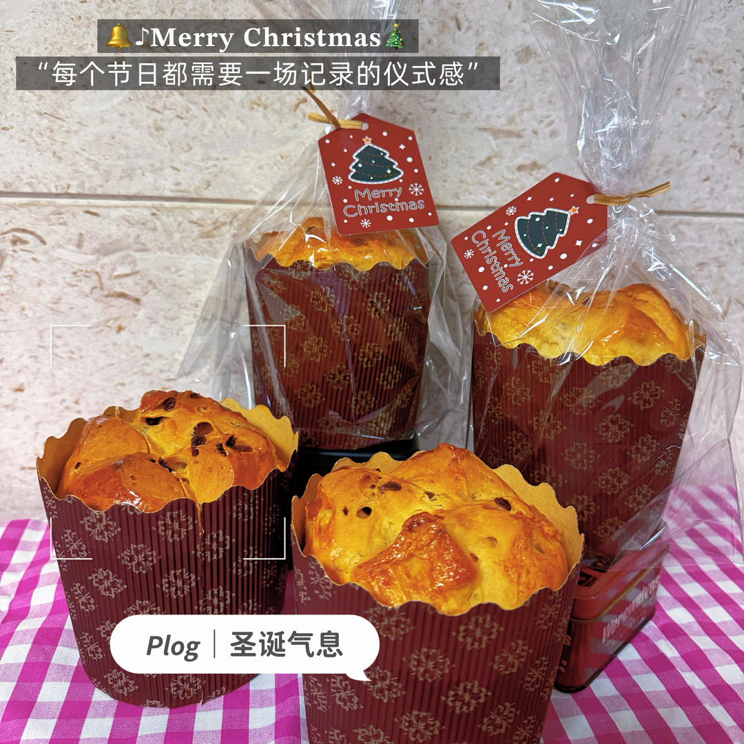 圣诞面包--潘娜托尼Panettone