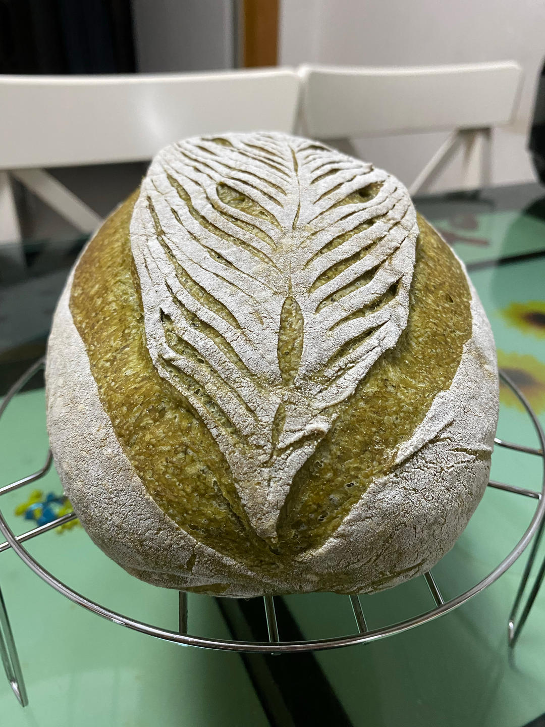 视频教程 天然酵种欧包 基础配方＆制作流程