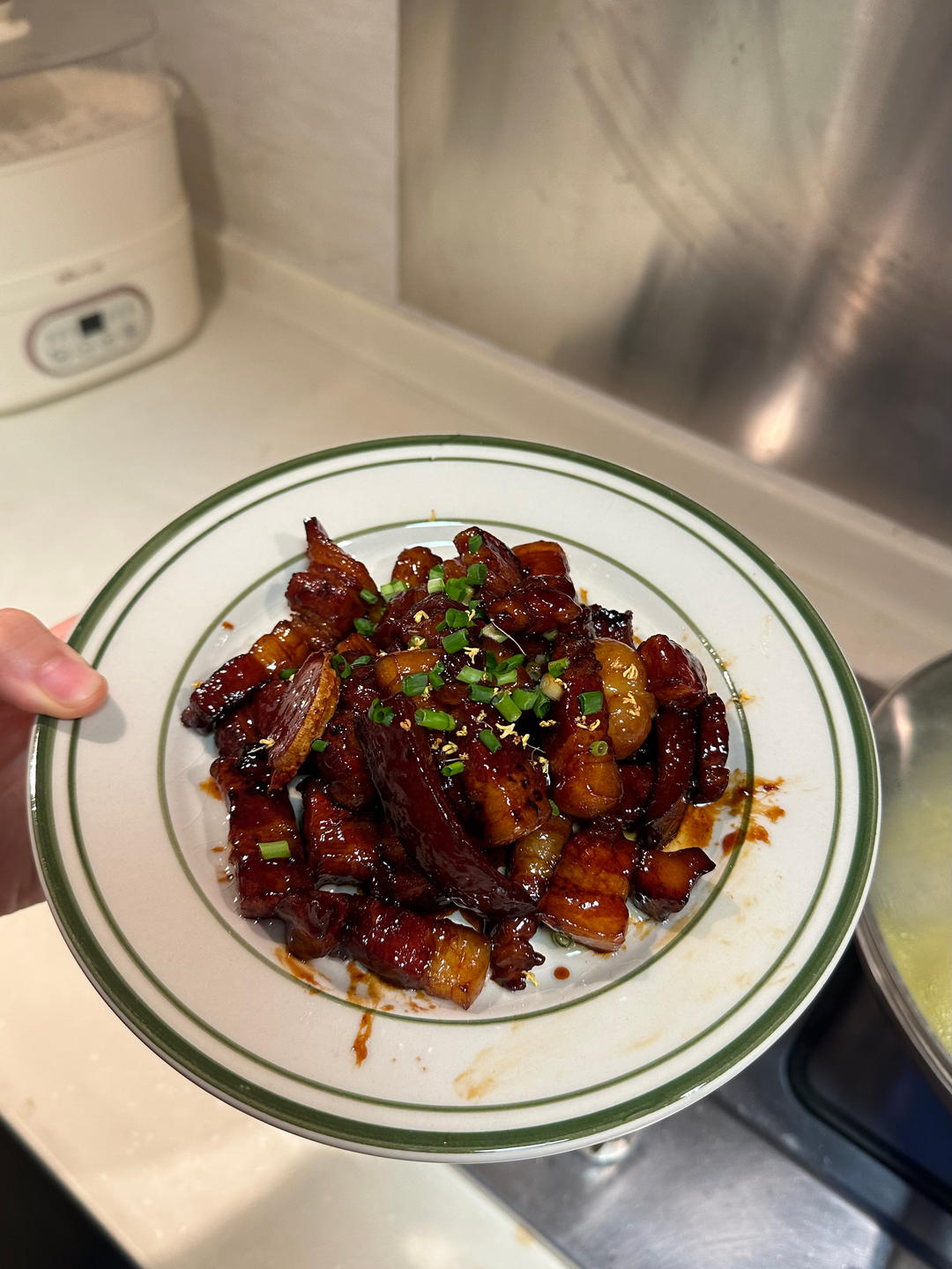家常有手就会的红烧肉