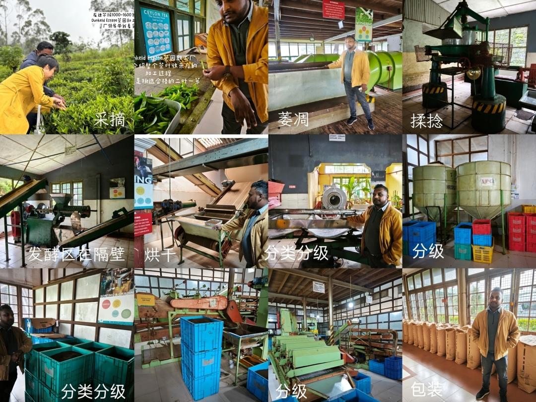 斯里兰卡出差笔记