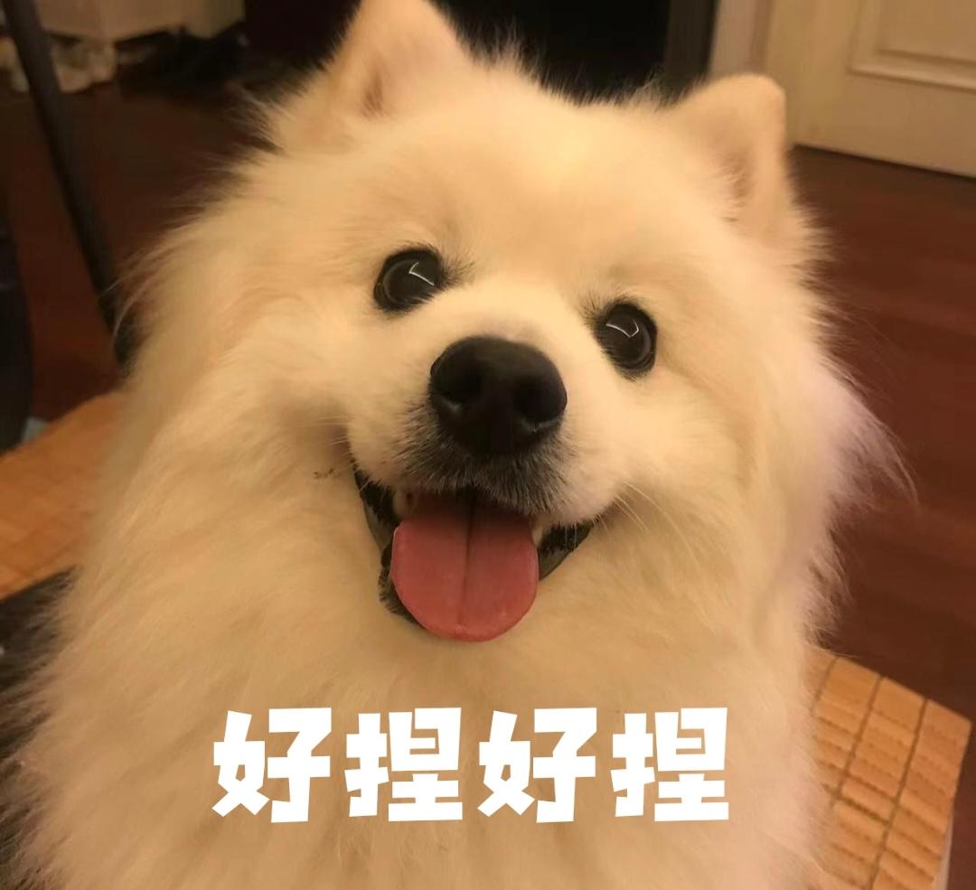 小L向前冲