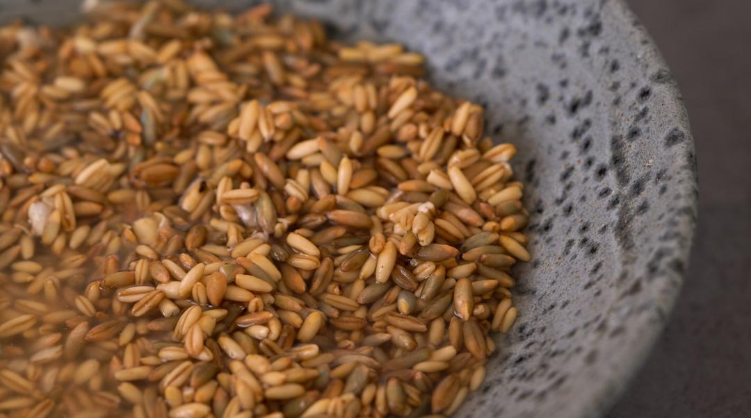 自制燕麦片｜看着燕麦粒被压成燕麦片的过程，真的好解压啊！的做法 步骤2