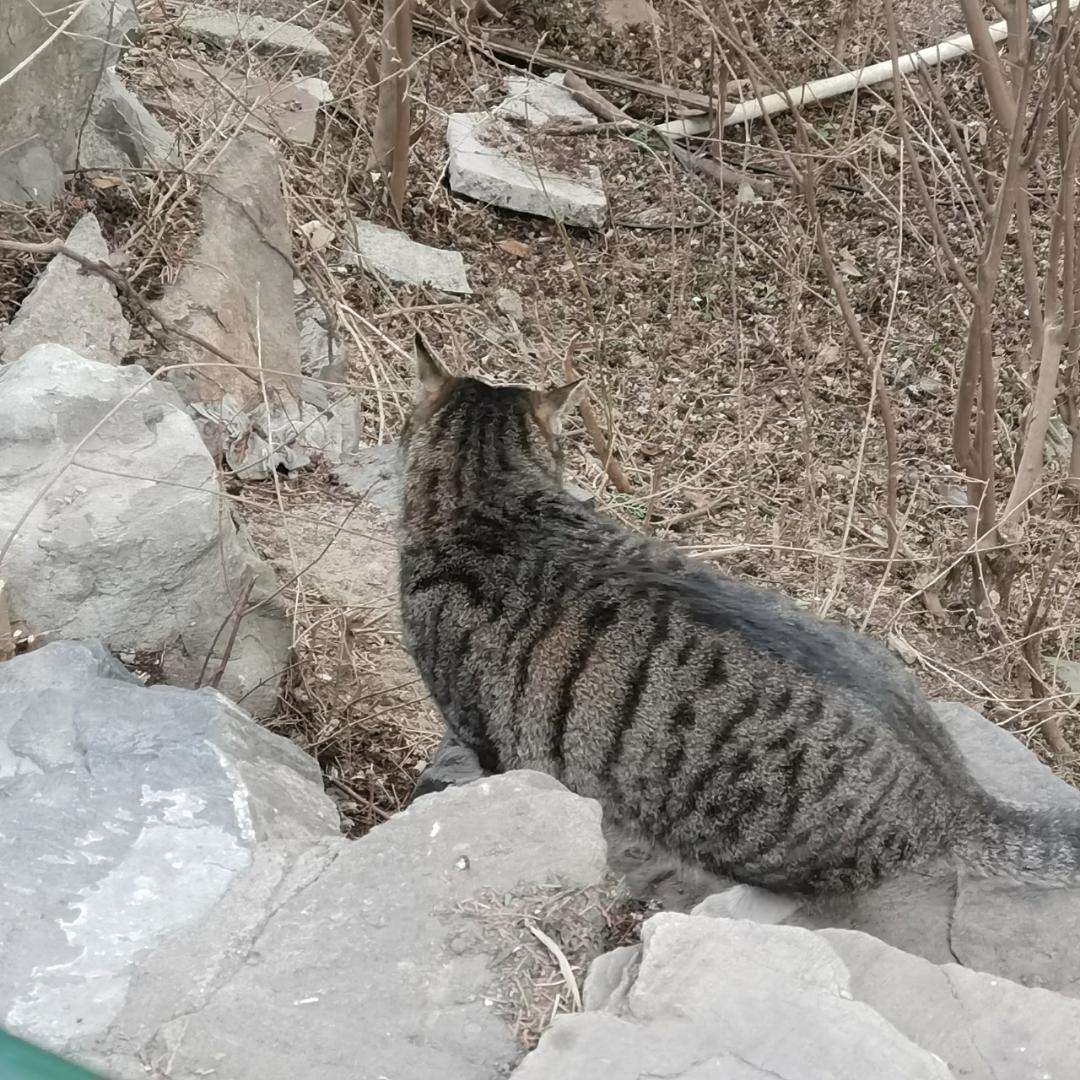 哈哈哈哈啊啊哦哦哦