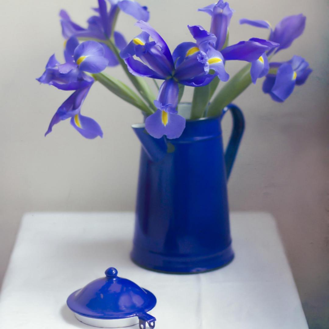 大熊爱小熊丁丁