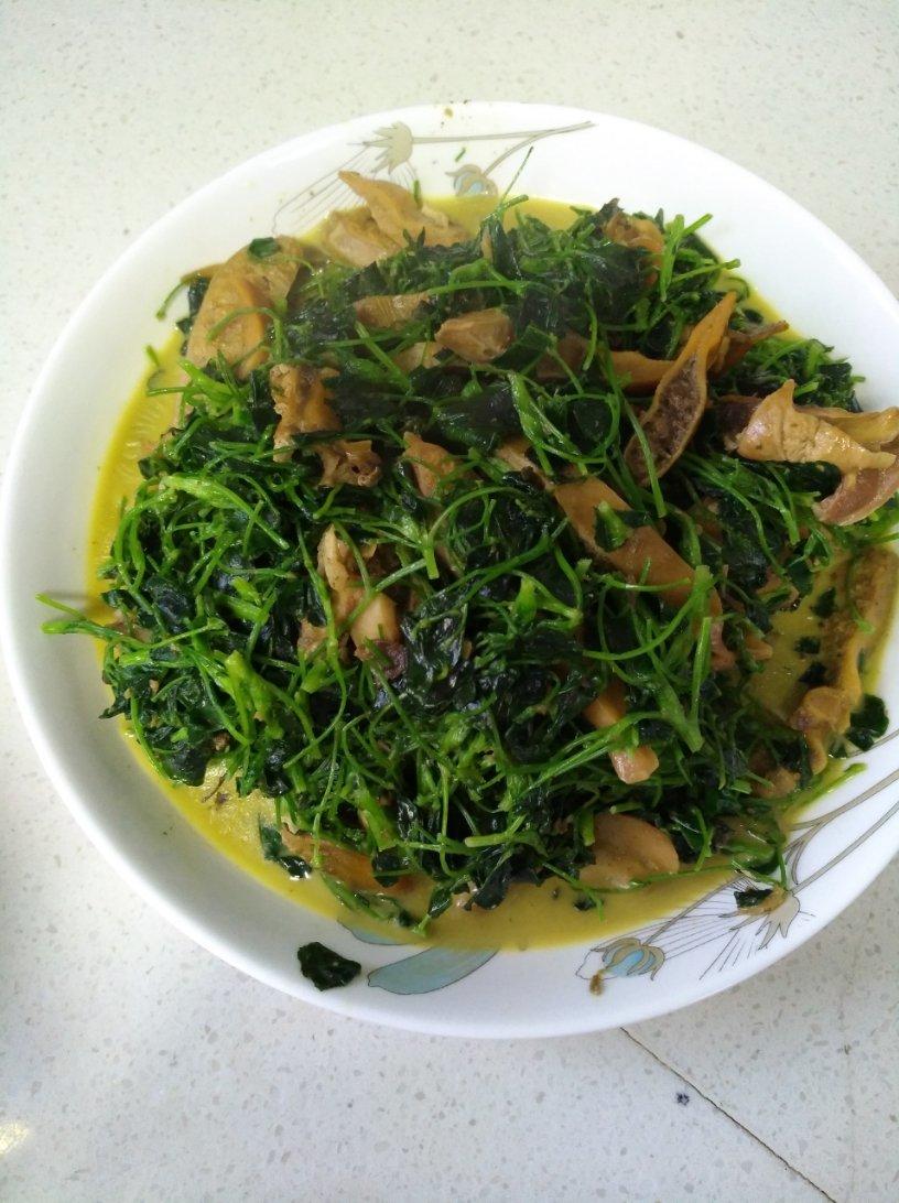 上汤金花菜（上汤草头，秧草）