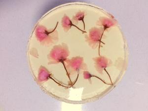 樱花之恋—樱花酸奶芝士慕斯的做法 步骤1
